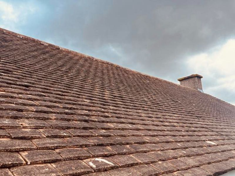 best roof cleaning results